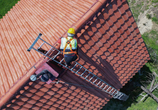 Best Chimney Flashing Repair  in Moweaqua, IL