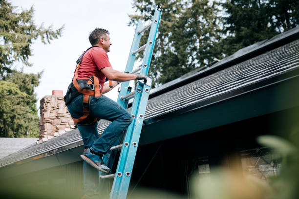 Best Steel Roofing  in Moweaqua, IL